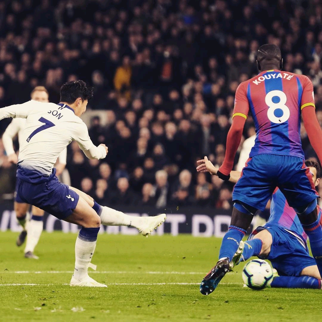 也给他的粉 也给他的粉